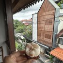 오렌지마트 하대점 | [7일차] 토요일엔 찡짜이마켓을 가야지🇹🇭🛍 ㅣ찡짜이먹거리, 굿굿즈쇼핑, 아스트라스카이리버 수영장...