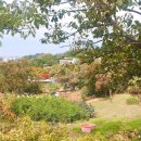 갈미농장 이미지