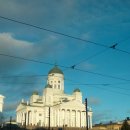 판다팜(생활을 더담다) | 헬싱키를 짱싱키로 만들어주는 장소들 (헬싱키 방문학생의 식당, 카페, 펍 추천)