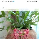잘가또와 네이버블로그