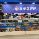 월곶회센타 이미지