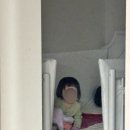 빙수과일화채전문점 빙과채 용암점 네이버블로그