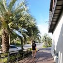 더 비비스 제주(The BB`s JEJU) 이미지