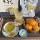 거제농산물수출영농조합법인 | 거제농산물수출영농조합법인 햇살긴 유자효차