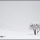 돌풍목장 이미지