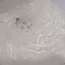 파워크린 이미지