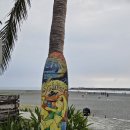 구산육거리 교통섬 | 가오슝 치진섬 가는 방법 페리 가격 혼자 노을 구경