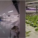 와이즈팜 이미지