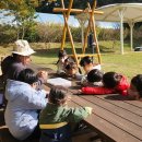 녹전초등학교병설유치원 이미지