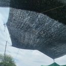 백석읍행정복지센터 이미지