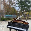 중앙공원무대 뒤 | “아이에게 꼭 필요한 무대 경험!”호평동 늘을중앙공원 피아노 버스킹 후기