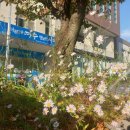 둔덕동주민자치센터 이미지