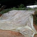 야생초농원 이미지