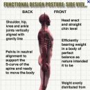 자세 교정(Postural Realignment)에 관한 근육, 신경인자에 관한 review. 꼭 다시 봐야 할 논문 이미지