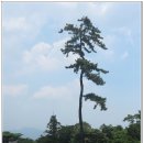 갈맷길(7코스) 이미지