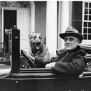 루즈벨트와 괴벨스의 라디오에서 케인즈의 소비경제와 이재명의 소비쿠폰까지 -100년의 정치경제 이미지