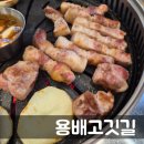 고깃길 | 신진주역 맛집: 삼겹살, 목살 맛있는 용배고깃길