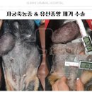 금호동물병원 이미지