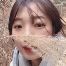 집에(zibe) 이미지