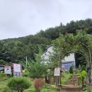 우리가 가꾸는 꽃길 | 인제 가볼만한 곳 소양호 전망 좋은 뷰맛집 카페, 초록앤숨