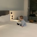 키즈 팰리스 이미지