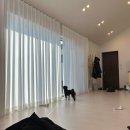 뽀아 하우스 | 강화도 애견동반숙소 | 운동장이 엄청넓은 뽀아하우스 삼동 후기