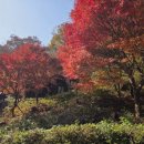 신선동-12 이미지