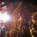 석인한의원 이미지