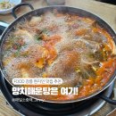 망치&가자미 | 강릉 현지인 맛집, 가자미회무침 망치매운탕 남항진 어촌식당 추천