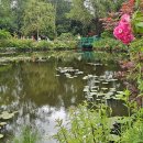 지베르니 이미지