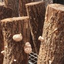 석현농장 이미지