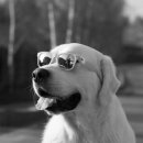 지원정보주식회사 이미지