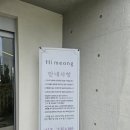 하이!멍 | 부산 강서구 애견운동장과 수영장을 가지고 있는 하이멍 카페 방문후기