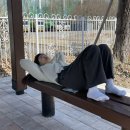 타이어프로산수점 | [23.03.15-16] 적자키나와의 서막+고물이와 첫만남..^^