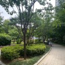 새샘 - 논산시 연무로178번길 6-2 | 💦 서울 동대문구 새샘근린공원 물놀이터 후기 🩵 윤우와 시원한 여름 물놀이 다녀왔어요 🌈