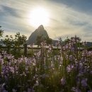 진안군농업기술센터 이미지