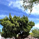 김석윤가옥 이미지