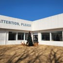 카페플리즈 | 담양카페 카페 어텐션플리즈 솔직후기.