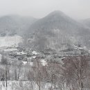 나무다캠핑장 이미지