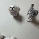 클로에 살롱 이미지