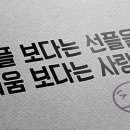 옐로지 이미지