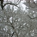 눈이행복한나라 이미지