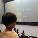 경주 엑스포대공원 엄마까투리와 자연사박물관 관람, 입장권 예매 할인 팁