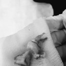 신나는 전자 드럼 교실 이미지