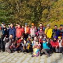 용현우리약국 이미지