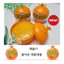 대롱대롱