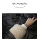 데일리 제이 이미지