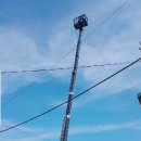 드봉펫살롱 이미지