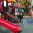 휘봉초교병설유치원 이미지