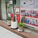 레푸스 방이역점 이미지